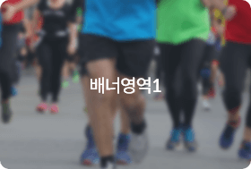배너영역1